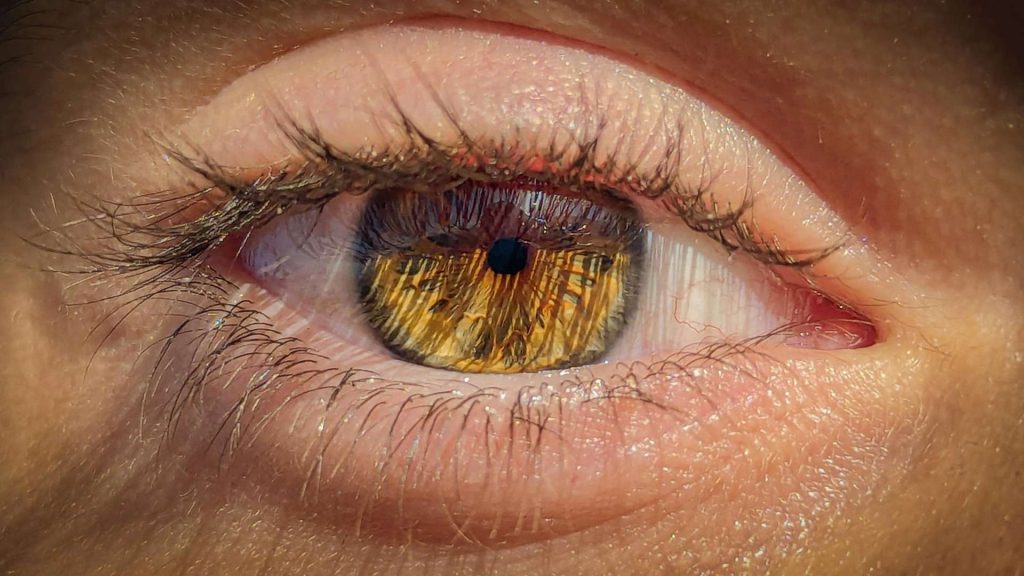 How Long Do Opioids Stay In Your System? Urine, Blood, and Other Detection Times Explained 1 how long do opioids stay in your system detection times range from a few hours up to days